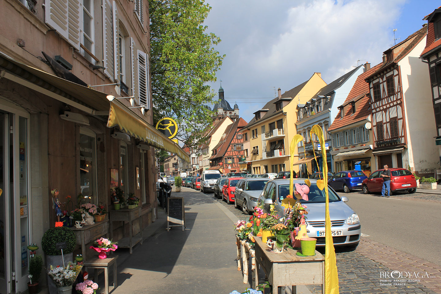 Selestat